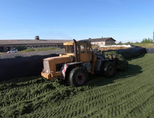Silo: Kirovets K702